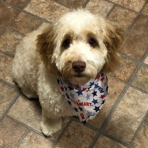 Meet your Posher, Tracie